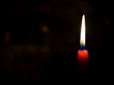 На Тернопільщині загинула жінка через кабана