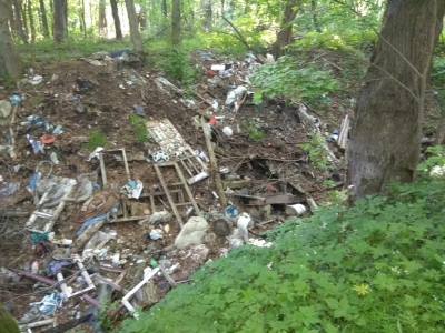 Ліс на Тернопільщині люди закидали сміттям (фото, відео)