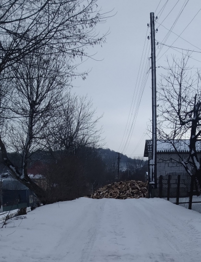 У місті на Тернопільщині дорогу перекрили купою дров (фотофакт)
