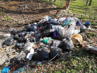 На Тернопільщині невідомі перетворили ліс на сміттєзвалище (фотофакт)