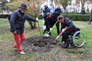 Тернопільські парки і сквери хочуть зробити заповідними зонами (фото)