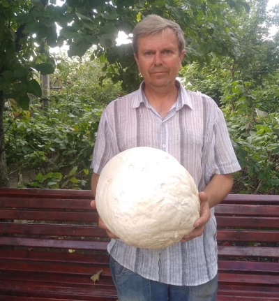 На Тернопільщині чоловік знайшов гігантський гриб (фотофакт)