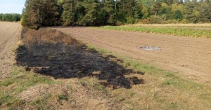 Мешканка Тернопільщини загинула внаслідок отриманих під час пожежі опіків