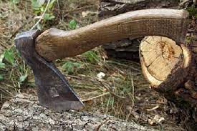 На Тернопільщині під час порубуки дерев загинув чоловік