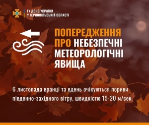 Сьогодні на Тернопільщині прогнозують сильні пориви вітру