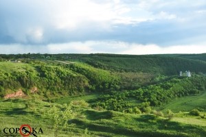 На Тернопільщині визначили заклади, куди школярі відправляться на оздоровлення та відпочинок