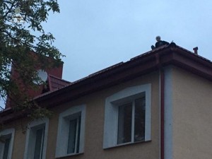 У Тернополі з даху будинку опускали «Ніндзю»