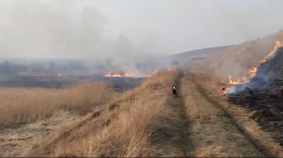 «Горе-господарі»: на Тернопільщині палять траву (відео)