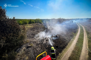 Впродовж вихіднх на Тернопільщині спалахнуло п&#039;ять пожеж