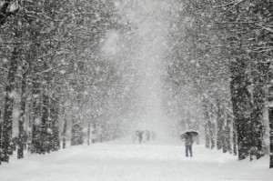 На Тернопільщині ліквідовують наслідки снігопаду