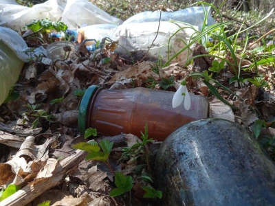 На Тернопільщині ботанічну пам&#039;ятку завалили сміттям (фото)