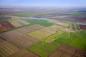 На Тернопільщині сільськогосподарські землі стануть власністю об’єднаних територіальних громад
