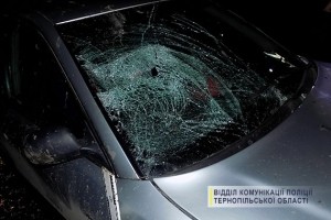 ДТП нa Тернопільщині: водій aвтомобіля збив двох пішоходів - мaму тa доньку і втік з місця aвaрії (фото)