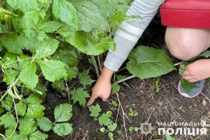 Поліцейські Тернопільщини затримали жінку, яка займалася збутом психотропних речовин