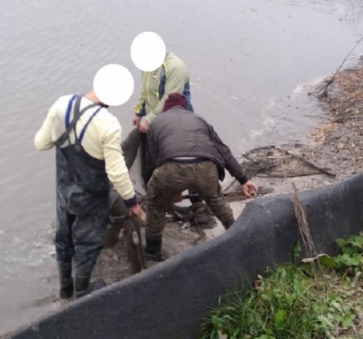 На Тернопільщині чоловік незаконно наловив понад 350 кг риби