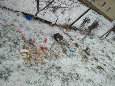 На Тернопільщині собаки розтягують сміття по вулиці (фотофакт)