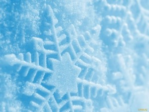 Тернопільське ЖКГ спростувало інформацію щодо вивезення снігу