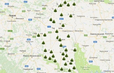 Де і за скільки можна придбати ялинку у Тернополі та в області? (карта)