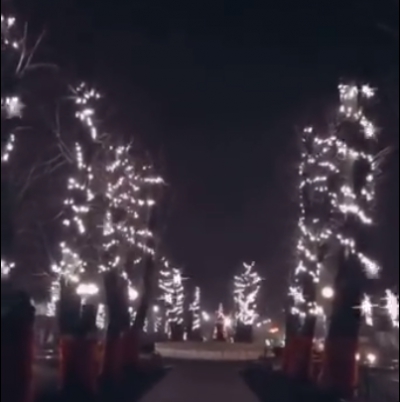 У Вишнівці на Тернопільщині дерева прикрасили казковою ілюмінацією (відео)