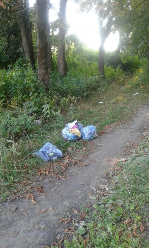 Відпочивальники на Тернопільщині залишили сміття посеред парку (фотофакт)
