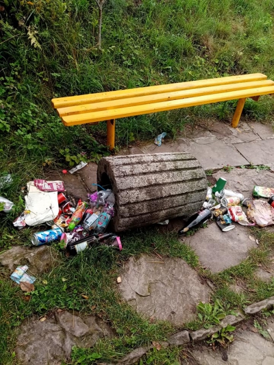 На Тернопільщині вандали зламали сміттєву урну (фотофакт)