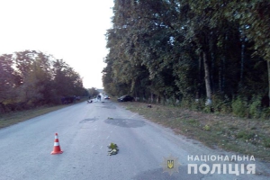 П&#039;яний водій іномарки спричинив смертельну ДТП на Тернопільщині