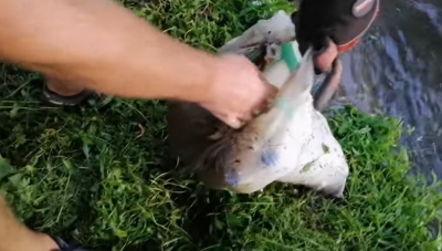 На Тернопільщині у річку викинули повний мішок сміття (відео)
