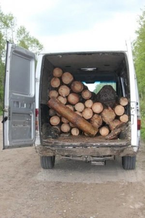 На Тернопільщині спіймали п&#039;яного 21-річного водія, який перевозив незаконно зрубану деревину