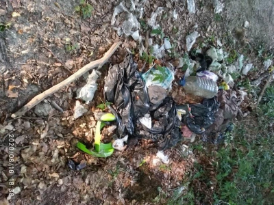 На Тернопільщині відпочивальники залишили у лісі купи сміття (фото)