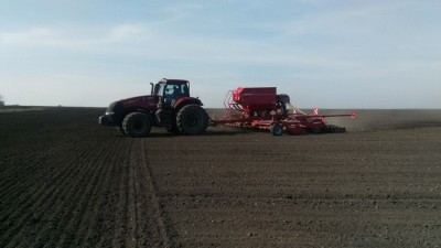 Підприємство &quot;Бучачагрохлібпром&quot; вдвічі збільшило посіви соняшника