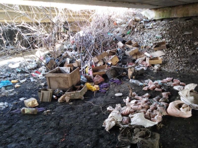 Пакети, ящики, пляшки: на Тернопільщині люди прибрали купи сміття під мостом (фото)