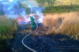 У Тернополі побільшало пожеж в екосистемах