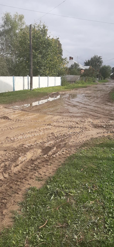 Одна з доріг на Тернопільщині нагадує болотяне місиво (фото)