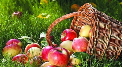 Коли мешканцям Тернопільщини не можна було їсти яблука?