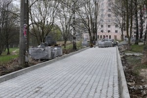 Біля Тернопільського педагогічного укладають бруківку (фото)