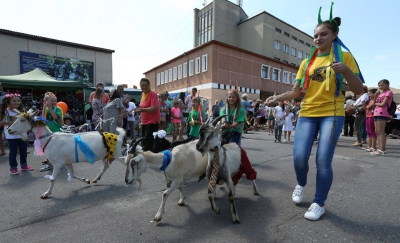 Грандіозний парад кіз і багато музики – чого очікувати цієї неділі на «КозаФесті» на Тернопільщині