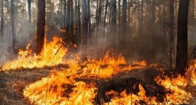 На Тернопільщині судитимуть чоловіка, через якого загорівся ліс