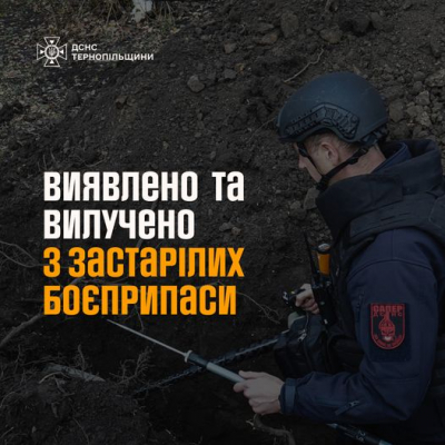 На Микулинецькому кладовищі у Тернополі піротехніки ДСНС вилучили гранати