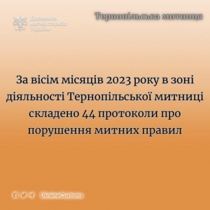 У Тернопільській митниці склали 44 протоколи про порушення митних правил