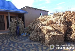 Поліцейські Тернопільщини виявили підпільне виробництво тютюну