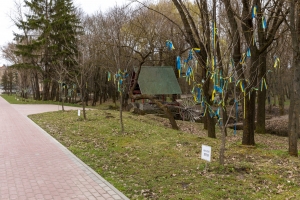 У тернопільському гідропарку «Сопільче» росте алея дерев, присвячена містам-героям