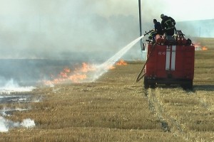 Понад 20 пожеж трапилося на Тернопільщині за добу