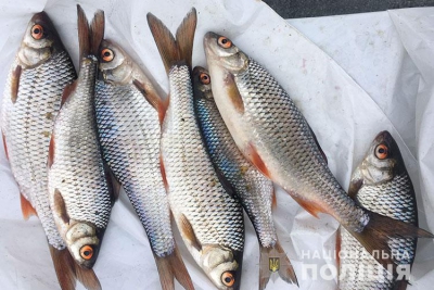 На тернопільському озері незаконно ловили рибу