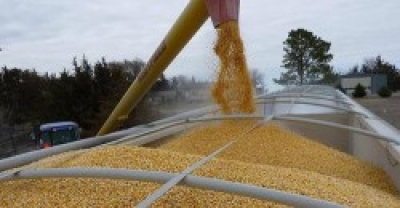 Поліцейські Тернопільщини викрили задум шахрая і допомогли потерпілому повернути понад 80 тонн зерна