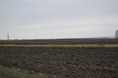 На Тернопільщині підприємець незаконно захопив земельні ділянки, площею понад 80 га