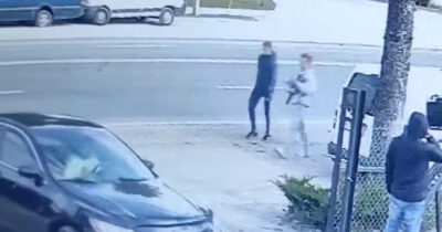 У Тернополі молодики викрали домашнього улюбленця з двору власника (відео)