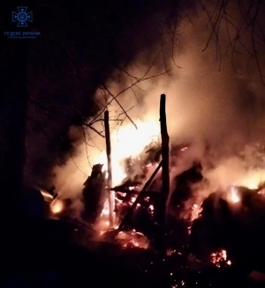 Під час пожежі на Тернопільщині згоріло майже 7,5 тонн грубих кормів