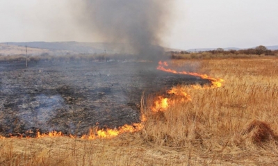 Жителям громади на Тернопільщині розповіли, чому не можна спалювати стерню і пожнивні залишки