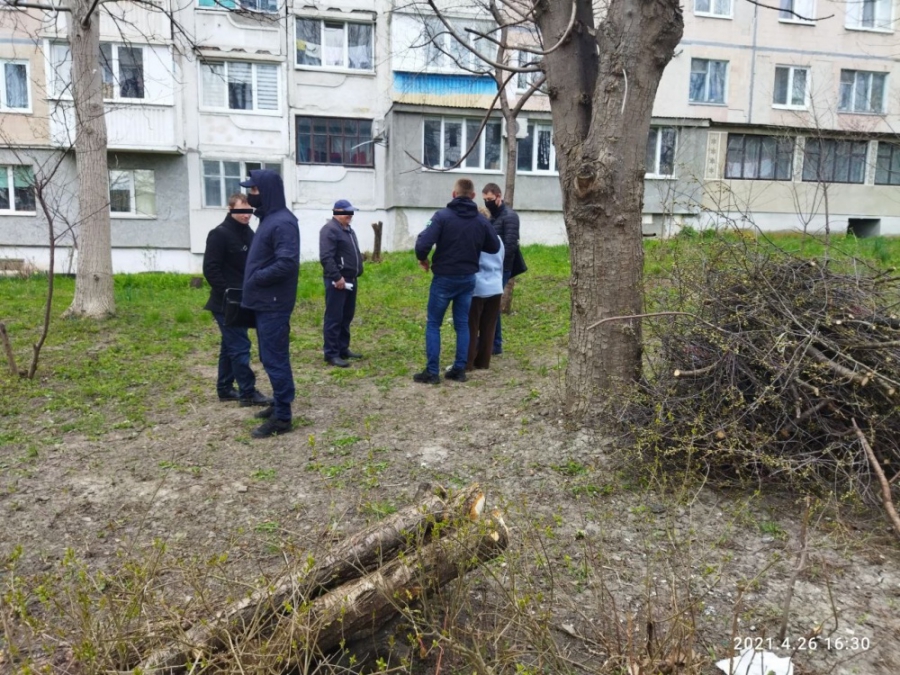 На тернополянина, який самовільно зрізав дерева на вул. Корольова, 2, склали три протоколи