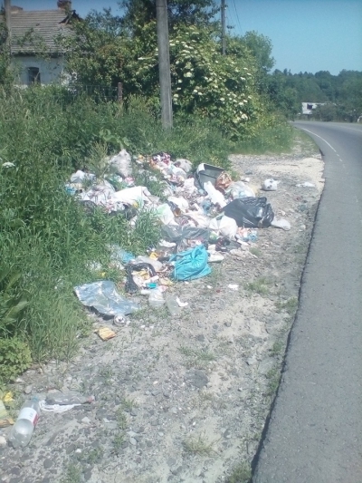 Через спеку та купи сміття у місті на Тернопільщині – нестерпний сморід (фотофакт)